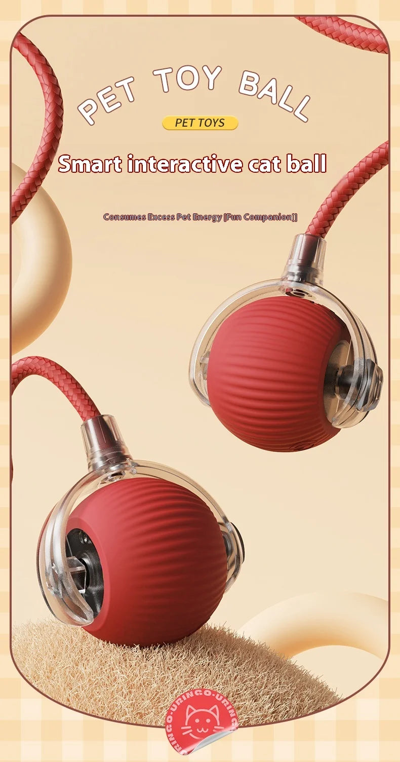 Your cat is bored again? Wait till she meets this!