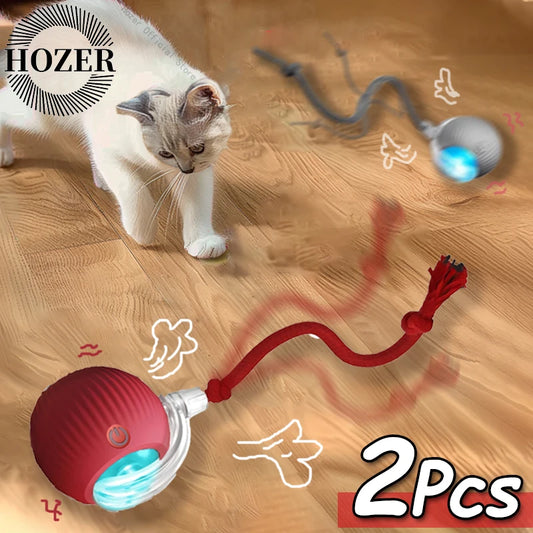 Your cat is bored again? Wait till she meets this!